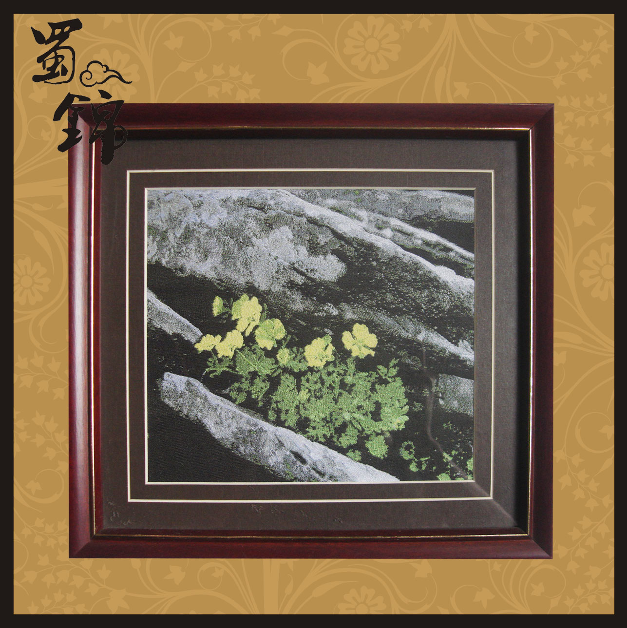 ��կ��ϵ�ж�